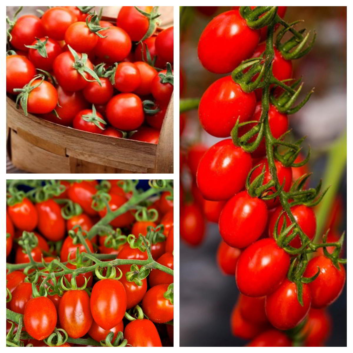 valor nutricional tomate cherry